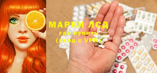 прущие грибы Магадан