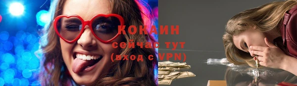 прущие грибы Магадан