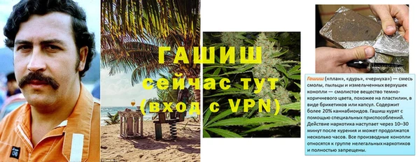 прущие грибы Магадан
