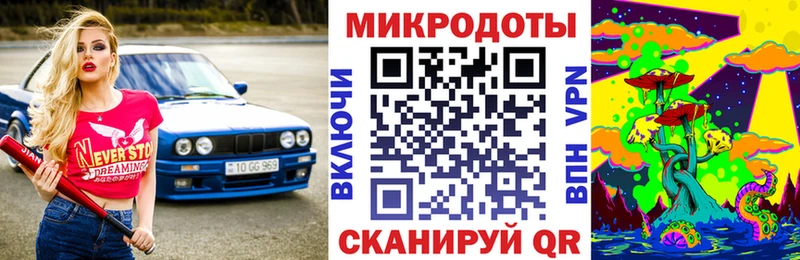 Галлюциногенные грибы Psilocybe  Железногорск-Илимский 